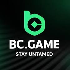 Download the BC App Your Ultimate Financial Tool